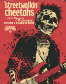 Crítica del concierto de The Streetwalkin' Cheetahs en Sala Upload (Barcelona) el 22 de Marzo de 2024