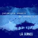 Crítica del disco Paisatges sonors de La guineu